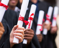 Educational Sector